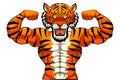 Angry strong tiger mascot.