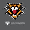 Angry tiger face logo in flat design. Sport emblem on black background. Royalty Free Stock Photo