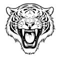 Angry tiger head hand drawn sketch Vector illustration Wild animals Royalty Free Stock Photo