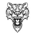 angry tiger head in monochrome style concept Royalty Free Stock Photo