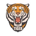 Angry tiger image Royalty Free Stock Photo