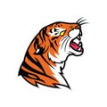 angry tiger mascot in white background Royalty Free Stock Photo