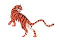 Angry tiger roaring, going. Wild cat, striped jungle animal growling. Aggressive tropical feline predator. Fierce amur