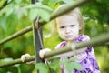 Angry toddler girl Royalty Free Stock Photo