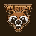 Angry vintage raccoon head sports logo mascot design illustration for sport and e-sport or gaming team. Wild raccoon mascot, Royalty Free Stock Photo