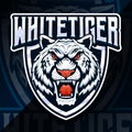 angry white tiger badge emblem esport logo Royalty Free Stock Photo