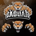 Angry wild animal jaguar isolated esport logo illustration