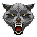 Angry wolf head Royalty Free Stock Photo