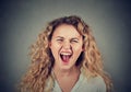 Angry woman having nervous breakdown screaming Royalty Free Stock Photo