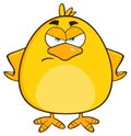 Angry Yellow Chick Cartoon Character