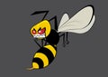 Angry yellow hornet Royalty Free Stock Photo
