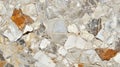 Angular Breccia Rock Sample Featuring Embedded Clasts and Varied Textures Royalty Free Stock Photo