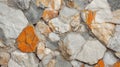 Angular Clasts of Breccia Rock Sample in Natural Formation Royalty Free Stock Photo