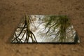 Angular mirror lies on a sandy path in the forest and reflects the trees