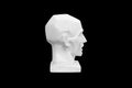 angular plaster man head isolated on black background. profile view Royalty Free Stock Photo