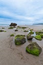 Angular view of rocks at low tide on Meron beach in Cantabria, Spain, on a cloudy afternoon