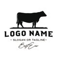 Vintage Cattle / Beef logo design inspiration vector Royalty Free Stock Photo