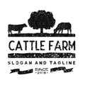 Vintage Cattle / Beef logo design inspiration vector Royalty Free Stock Photo