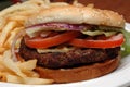 Angus Beef Burger with Fries