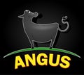 Angus cow logo design