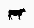 Angus Cow Silhouette Vector. Angus, Cattle, Cow, Bull Silhouette Royalty Free Stock Photo