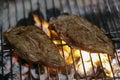 Angus steaks on a barbecue Royalty Free Stock Photo