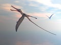Anhanguera prehistoric birds - 3D render