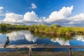 Anhinga Trail Royalty Free Stock Photo