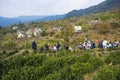 Autumn scenery of hongcun village, yixian county, huangshan, anhui. Royalty Free Stock Photo