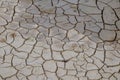 Animal footprints on dried soil. Cracked earth texture. Royalty Free Stock Photo