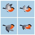 Flying bullfinch male animation sprite sheet