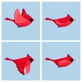 Cartoon flying Cardinal Bird male animation sprite sheet
