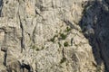 AniÃâ¡a kuk cliff in Paklenica National Park Royalty Free Stock Photo