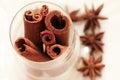 Anice and cinnamon Royalty Free Stock Photo