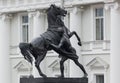 Anichkov Bridge with sculptures of horses - Saint-Petersburg Russia