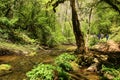 The Aniene river near Subiaco