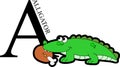 Animal Alphabet Alligator