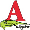 Animal alphabet A (alligator)