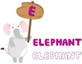 Animal alphabet e with elephant Royalty Free Stock Photo