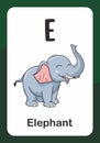 Animal Alphabet Flash Card - E for Elephant Royalty Free Stock Photo