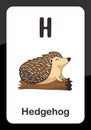 Animal Alphabet Flash Cards - H for Hedgehog