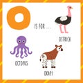 Learning English alphabet for kids. Letter O. Cute cartoon octopus okapi ostrich. Royalty Free Stock Photo