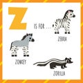 Learning English alphabet for kids. Letter z. Cute cartoon zebra zonkey zorilla.