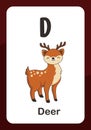 Animal Alphabet Flashcard - D for Deer