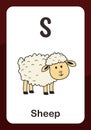 Animal Alphabet Flashcard - S for Sheep