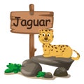 Animal alphabet letter J for jaguar