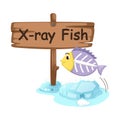 Animal alphabet letter X for x-ray fish