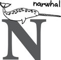 Animal alphabet N (narwhal)