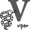 Animal alphabet V (viper)