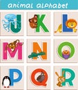 Animal alphabet